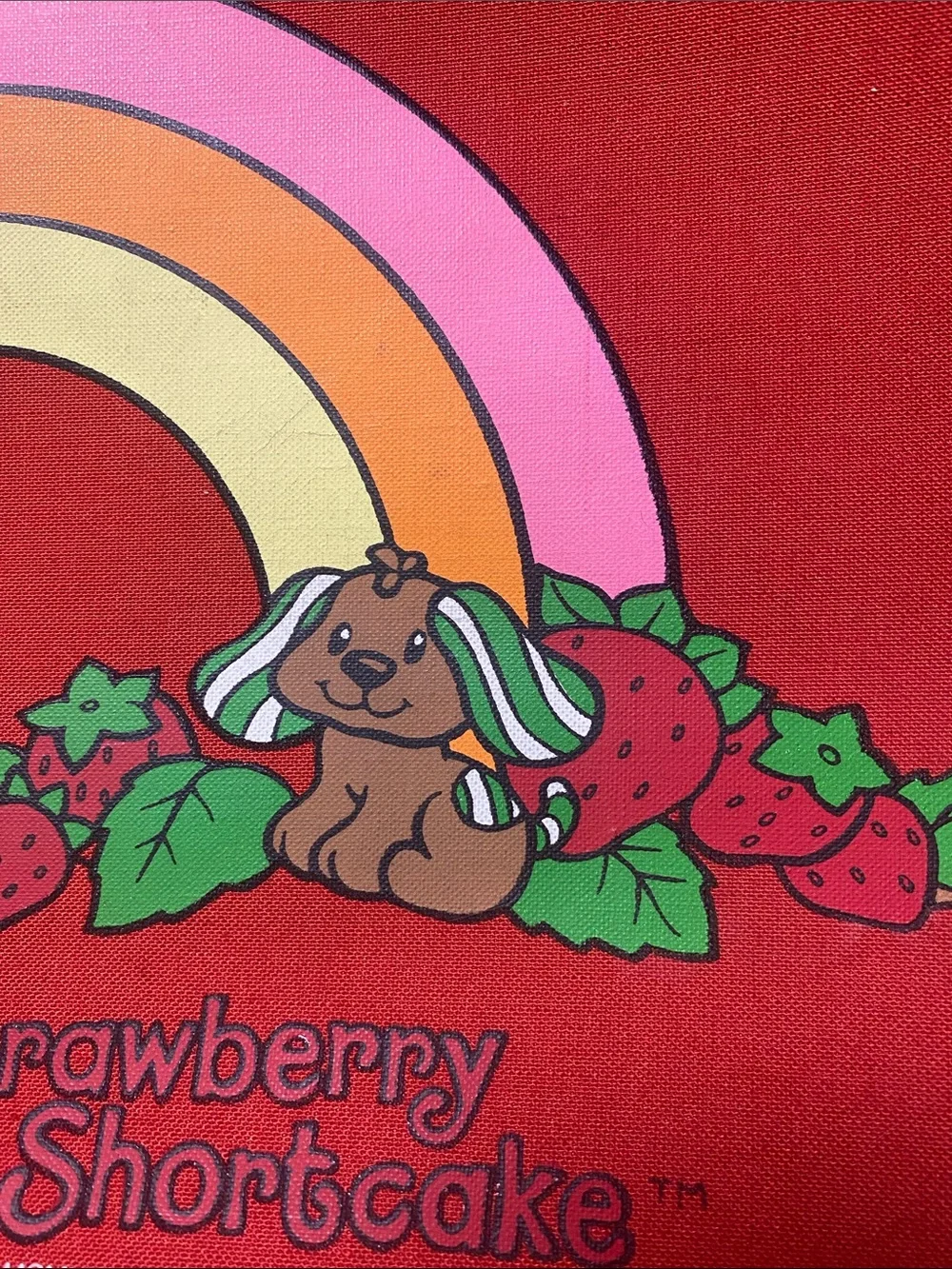 VINTAGE STRAWBERRY SHORTCAKE SUITCASE 80’s